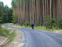 Budowa sieci tras rowerowych Pomorza Zachodniego - Trasa Zielonego Pogranicza odc. Gryfino - Trzcińsko Zdrój