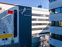 Ekomurale gotowe! Zdobią przestrzeń i oczyszczają powietrze w centrum Szczecina