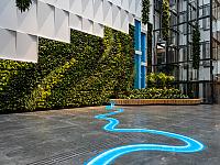 Zielona ściana w hallu budynku pasywnego. Nad prawidłowym nawadnianiem i oświetleniem roślin czuwa elektronika.