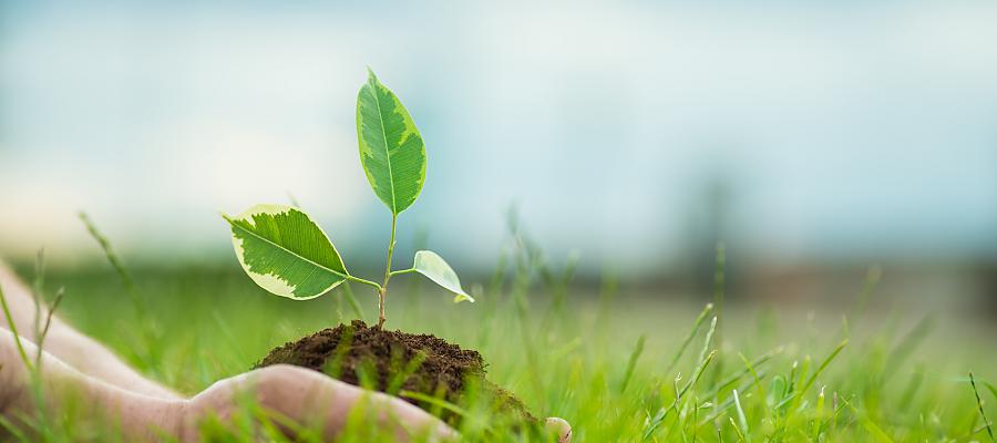 Nowy ogród botaniczny na Pomorzu Zachodnim