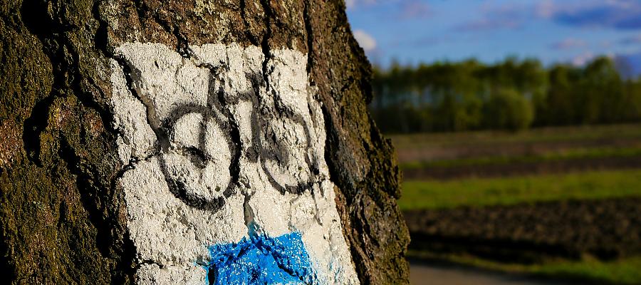  Rewitalizacja dociera nad Jezioro Krzęcińskie. RPO WZ 2014-2020 wspiera działania gminy Krzęcin.